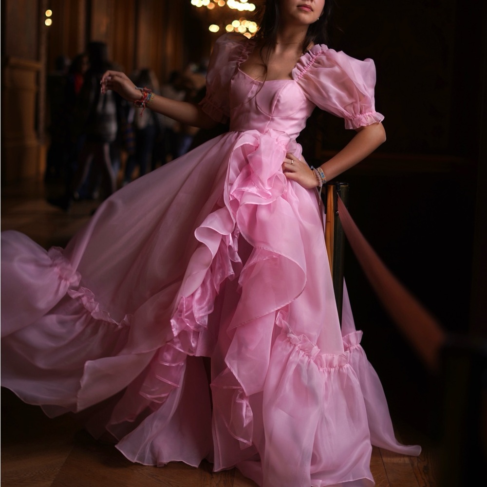 Ritz poptart dress